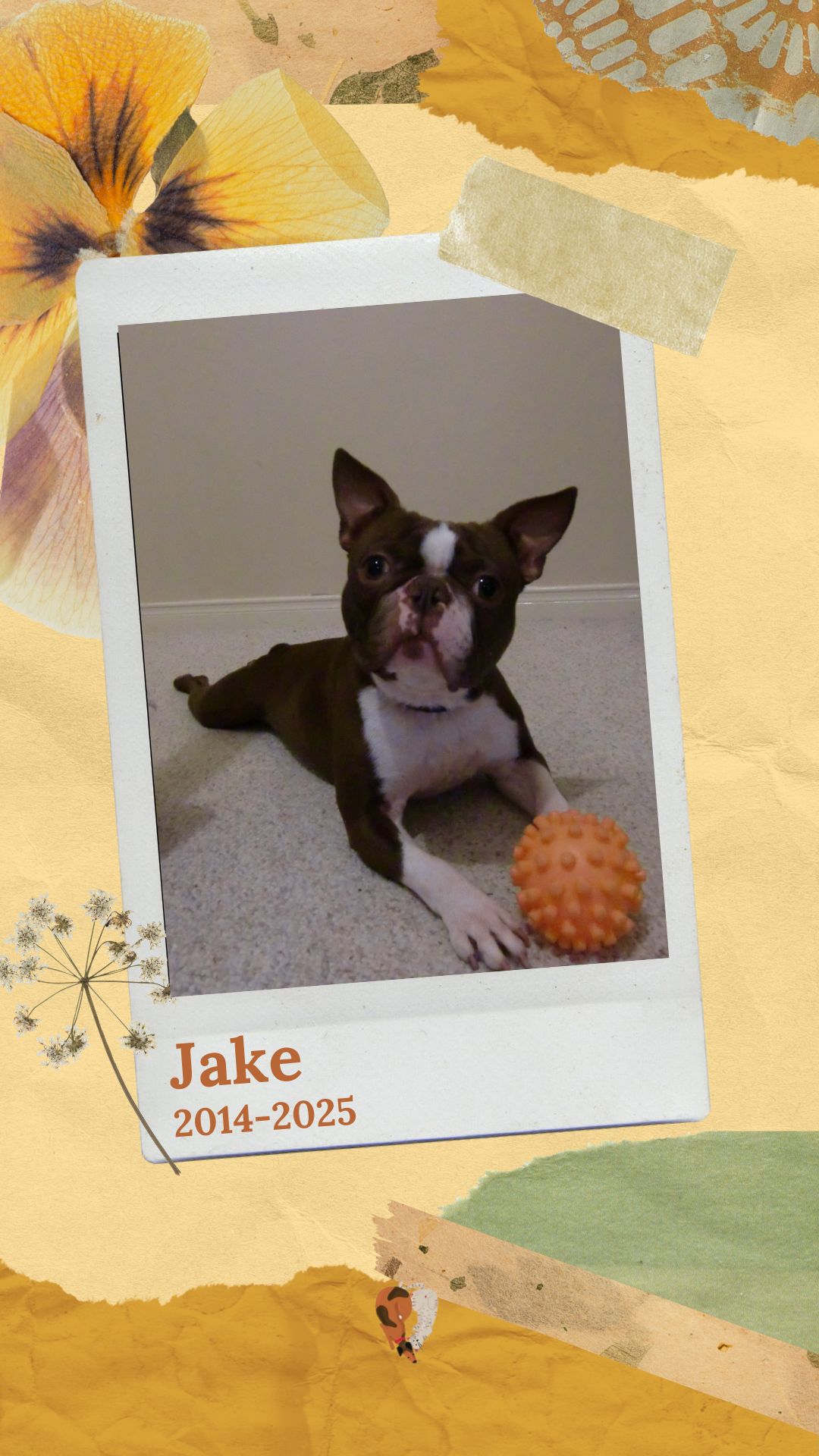 Jake