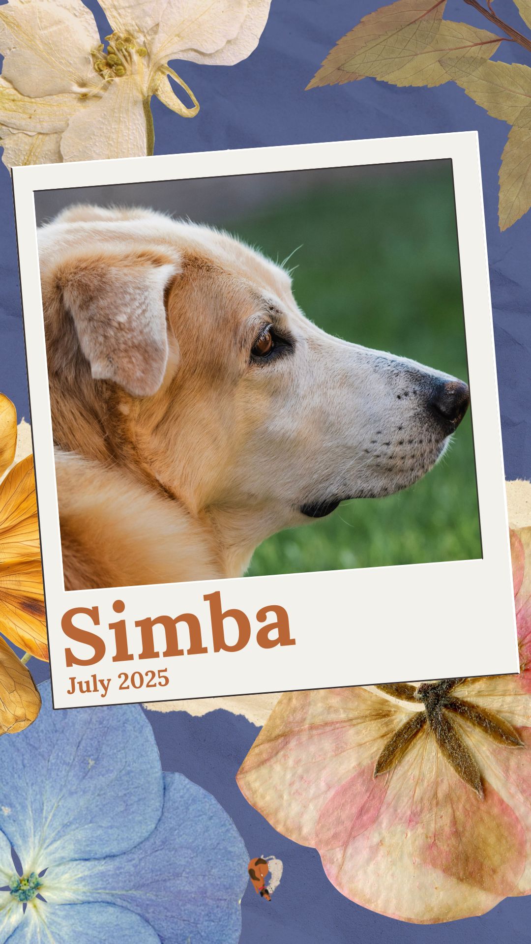 Simba