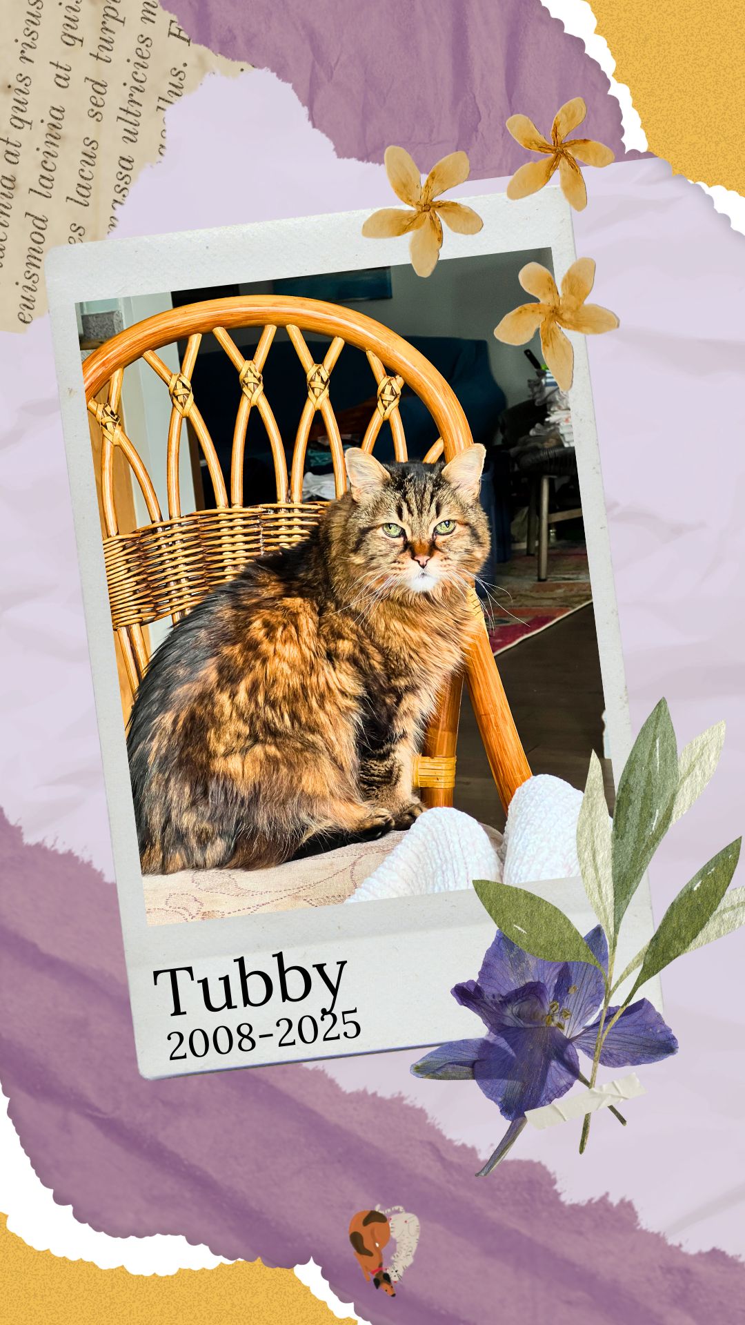 Tubby