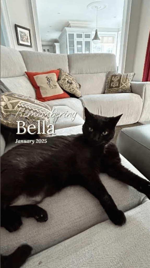 Bella