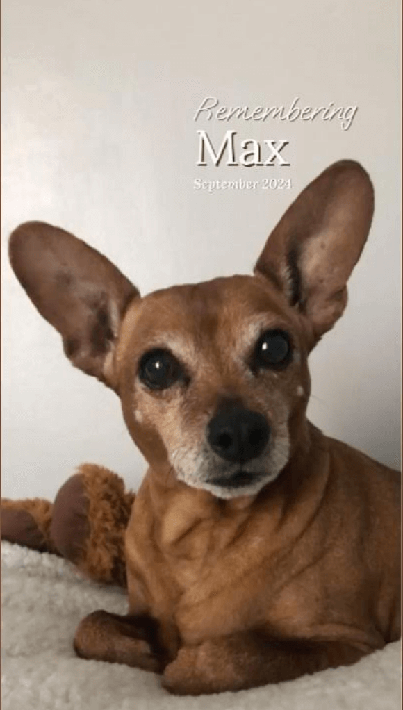 Max