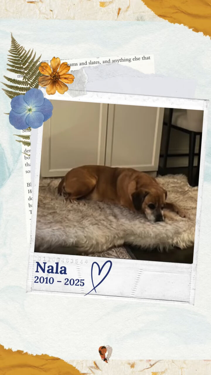 Nala