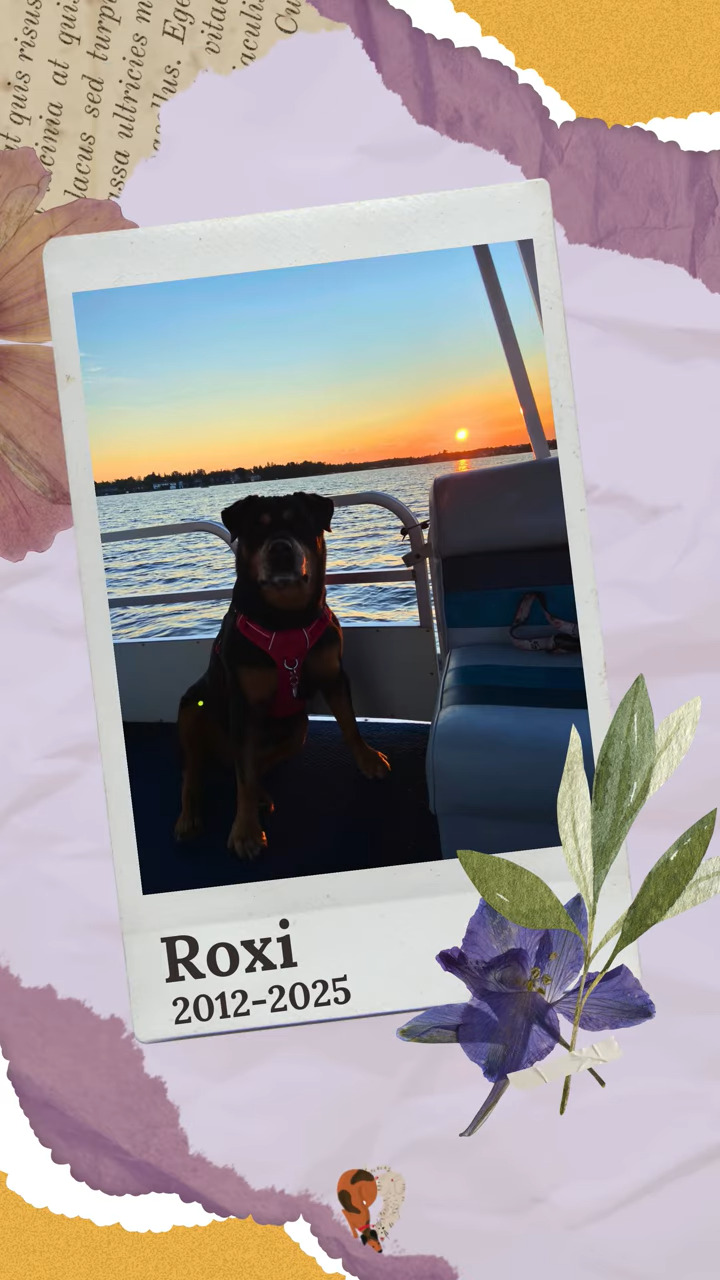 Roxi