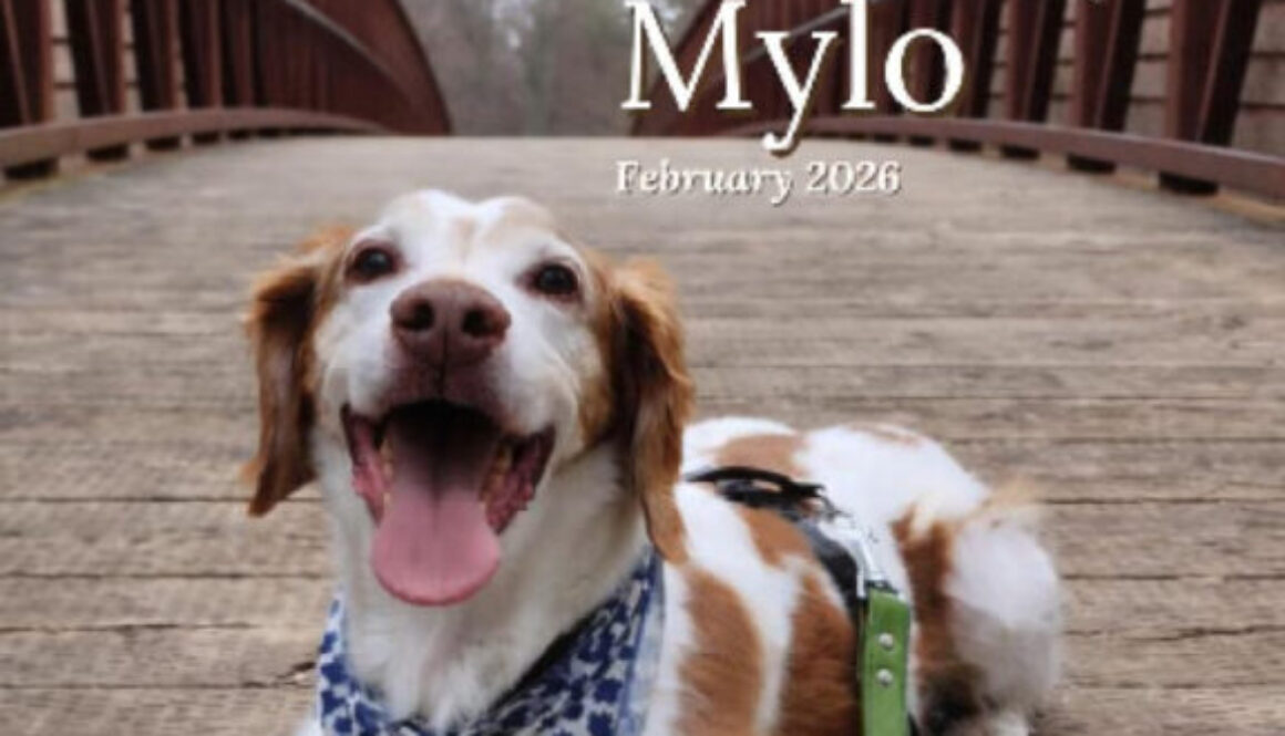 Mylo