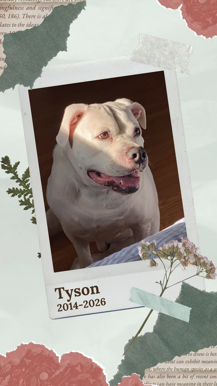 Tyson