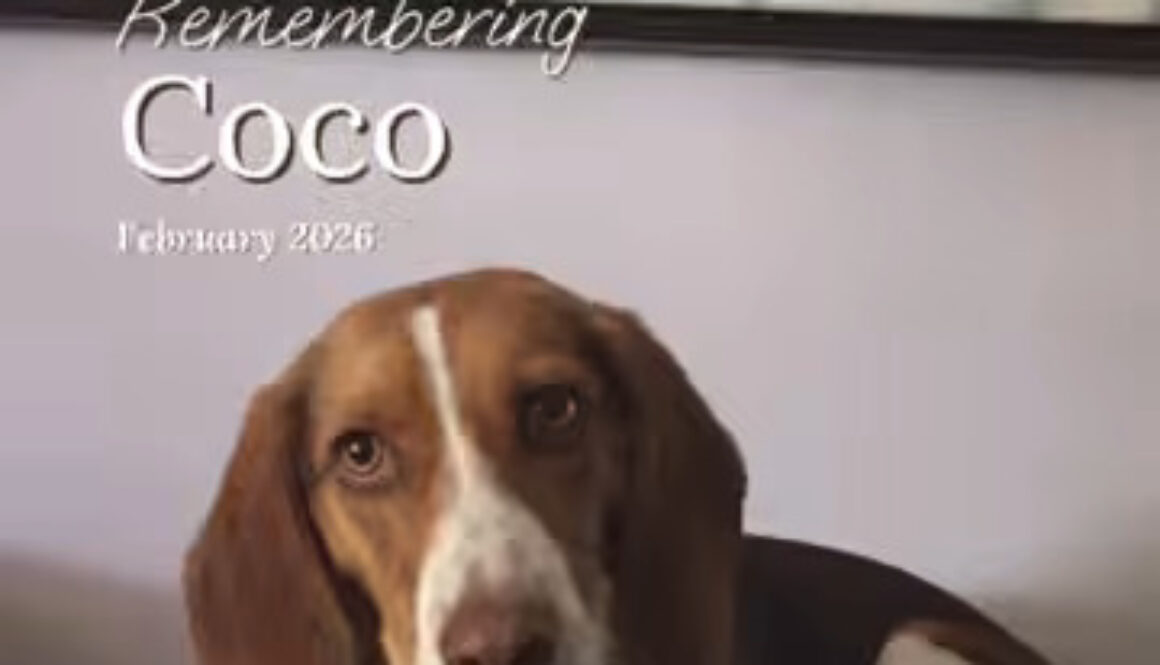 CoCo