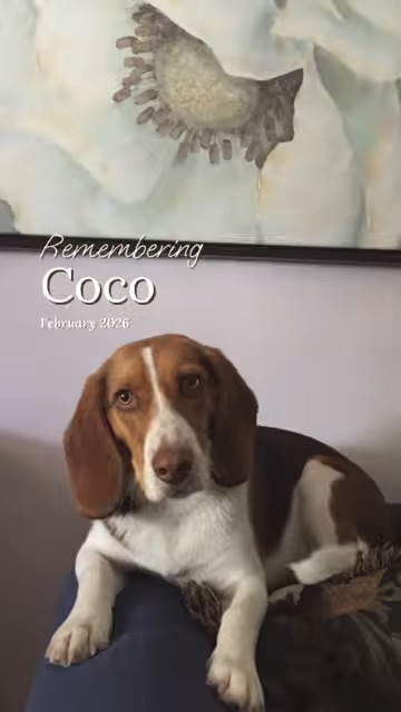CoCo