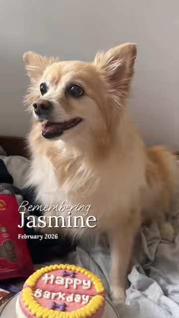 Jasmine