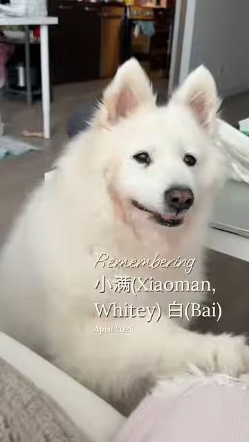 Xiaoman, Whitey