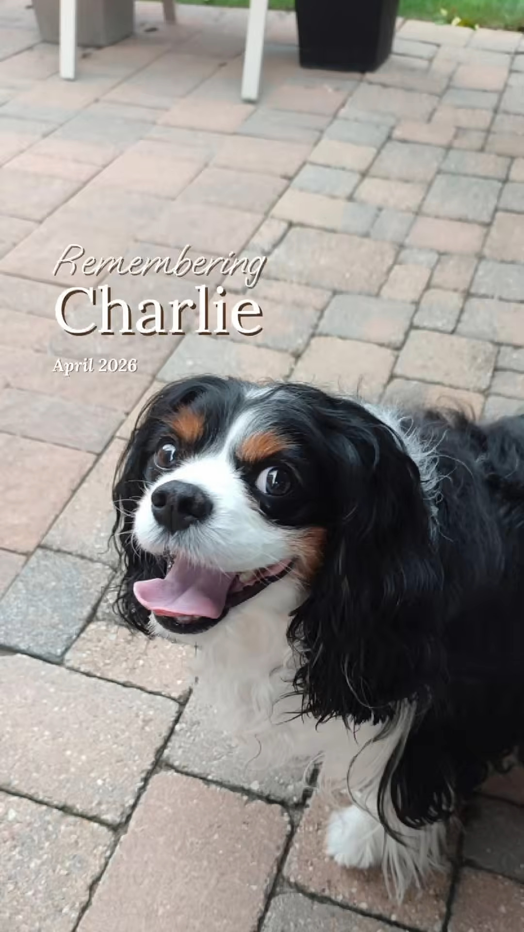 Charlie Charlie