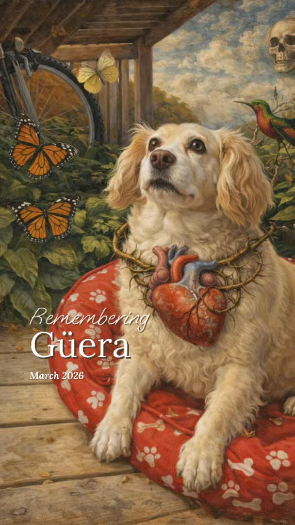 Güera
