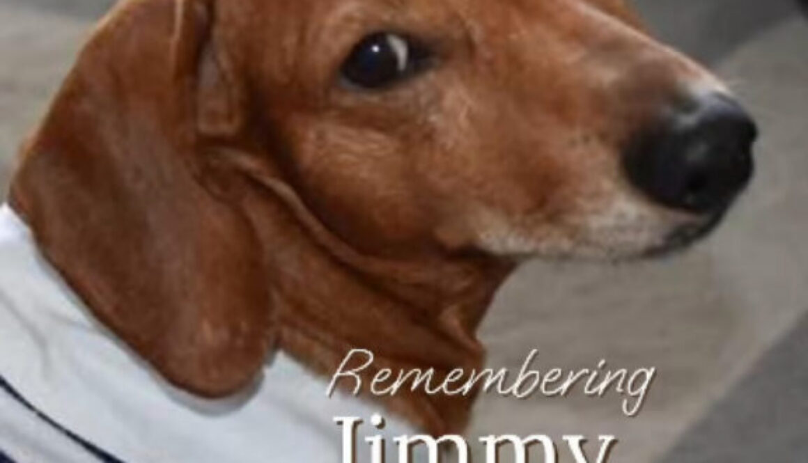 Jimmy