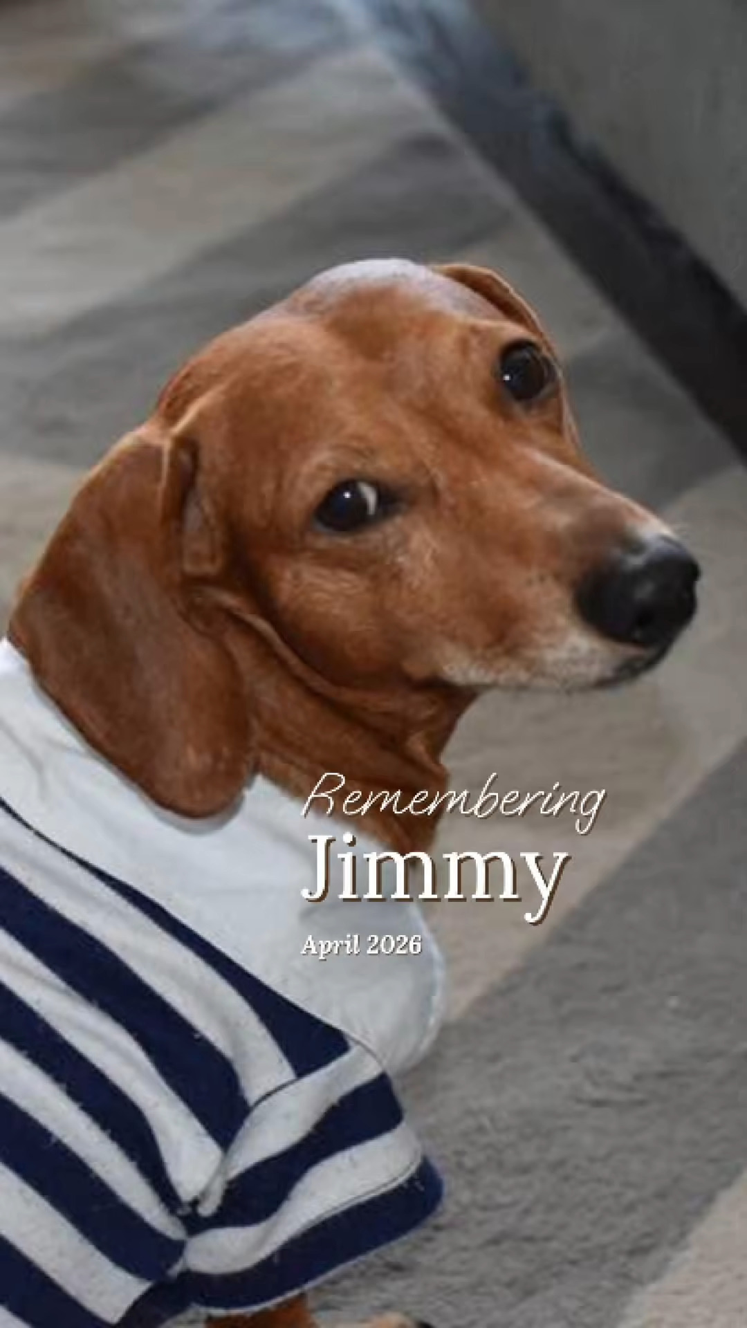 Jimmy